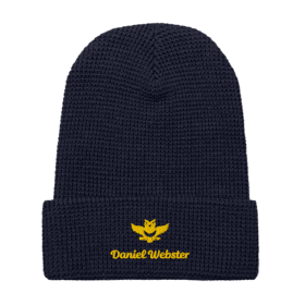 DW Waffle Beanie item