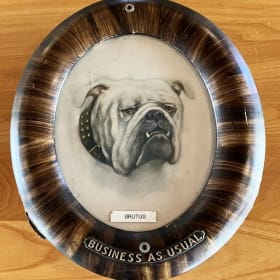 Brutus the Bulldog item