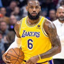 Lebron James Basketball item