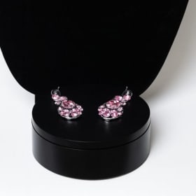 Sparkle and Shine item