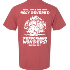 "Burning Bush" T-Shirt item