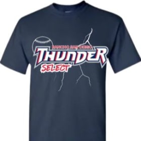 Gildan Tees (ADULT 2XL) FRONT ONLY item