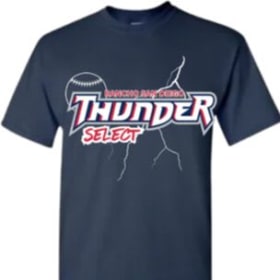 Gildan Tees (ADULT 3XL-5XL) FRONT ONLY item