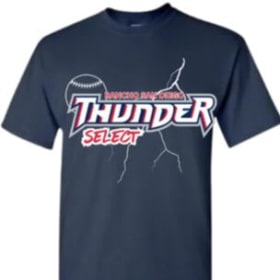 Gildan Tees (ADULT 2XL) FRONT & BACK item