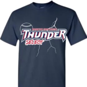 Gildan Tees (ADULT 3XL-5XL) FRONT & BACK item