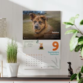 Calendrier mural - EXPÉDITION DÉBUT DÉCEMBRE item