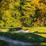 Angus Glen foursome item