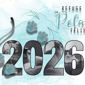 Calendrier par la poste item