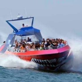 Boston Harbor City Cruises-2 Tickets for Codzilla #1 item