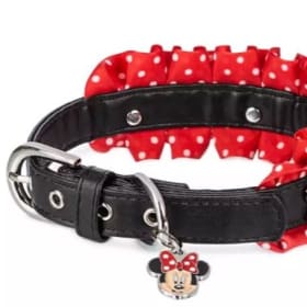 Disney tails Dog Collar - Minnie Mouse Ruffles Medium item