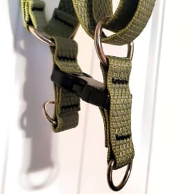 lupine pet Eco Step In Dog Harness mosss 24 to 38" item