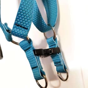 lupine pet Eco Step In Dog Harness tropical sea 24 to 38" item