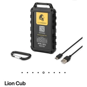 Lion Charging Bank Bundle item