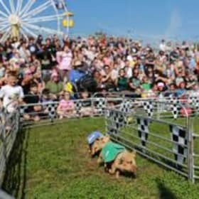 11. Blue Ribbon Sparks - Topsfield Fair VIP Tour 2026 item