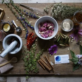 🌿 Atelier d’initiation à l’herboristerie – Bleumauve item