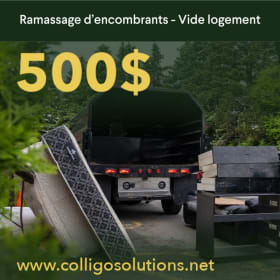 🛻 Carte-cadeau de 500 $ – Colligo solutions item