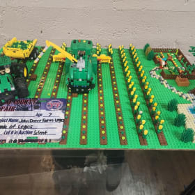 LOT 8- Farm Legos item