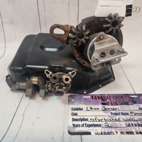 LOT 10- Mama Cow and Calf item