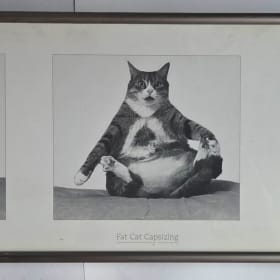 "Fat Cat Capsizing" Photos item