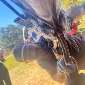 Veterinarian Care item