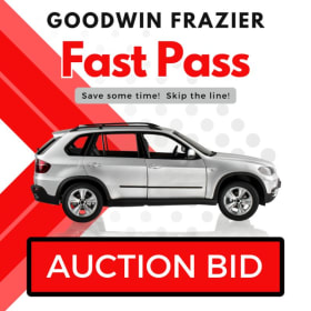 Item Q: Fast Pass - BID TO WIN item