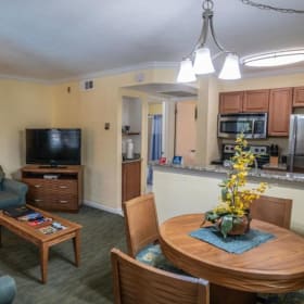 2. Family Vacation to Orlando, Florida! (1/2) item