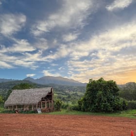 Half Share Monthly: April item