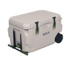 Lifetime Cooler item