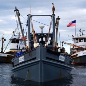 Copps Island Oyster Boat Tour for 12 Guests & Oyster Tasting item