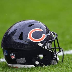 Bear Down Basket item