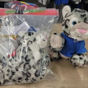 Build Your Own Lynx Kit item