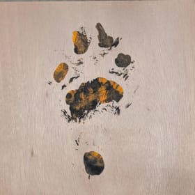 Tiger Footprint item