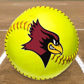 Varsity Vibes for a Day item