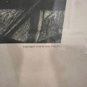 "Less Speed, More Progress" framed print item