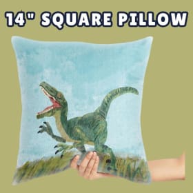 14" Square Pillow item