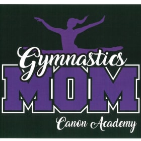 Women's Fit V Neck T-Shirt item