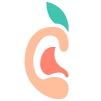 Custom Earplugs item