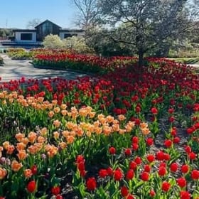 Wellfield Botanic Gardens Family Pass item