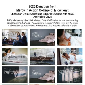 Mercy in Action Online Continuing Education Course item