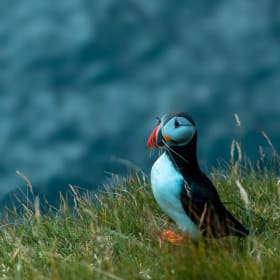📸 Œuvre photographique unique - Philippe Bernier item