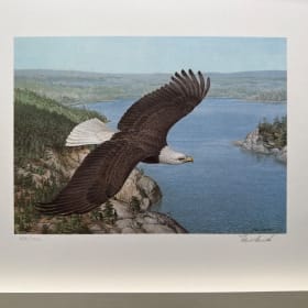The Raptor Fund Print item