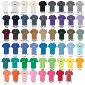 T-shirt - 2025 Salmon Fest item