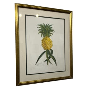 Ananas item