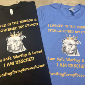 Fit 4 A King shirt item