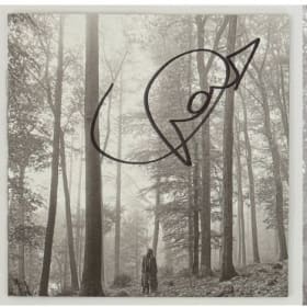 Taylor Swift Album - Albers item