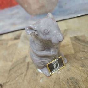 The POW Rat Soap item