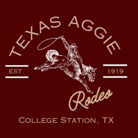 Sweatshirt - Curved Texas Aggie item