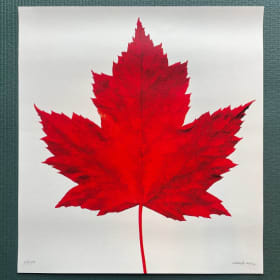 Maple Leaf item