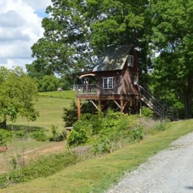 🍷 Treehouse Date Night for Two! item