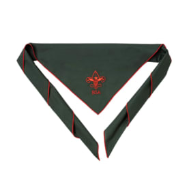 Neckerchief - Troop 82 colors item